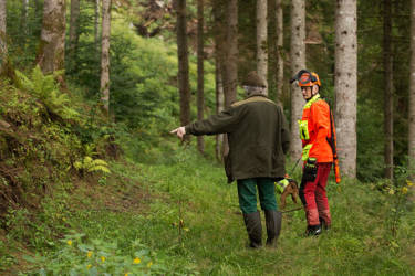 Geländemarken wie Bäume, Wege und Böschungen helfen Schütze und Nachsuchenführer, den Anschuss zu finden