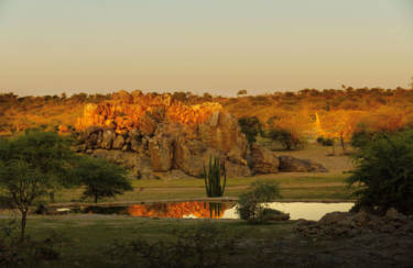 Sunrise at the watering hole in front of the lodge buildings. Here you can observe game all day long.