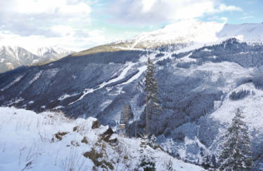 Fichten-Monokulturen, riesige Kahl­schläge und mittendrin Skipisten und Liftanlagen. Für das Rotwild ist die auf einem kleinen, sonnigen Plateau liegende Fütterung eine der letzten Oasen der Ruhe.