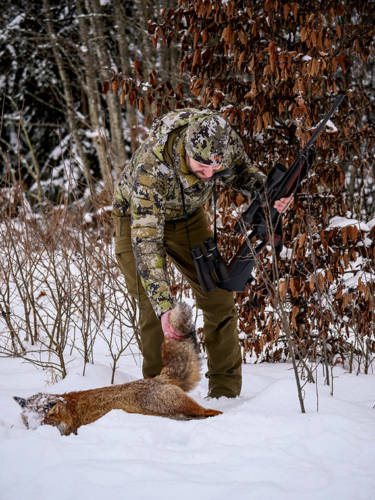 Mit der .17 Hornet lag der Fuchs im Knall.