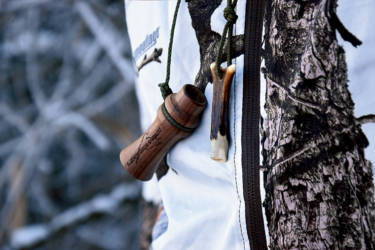 Combining different calls increases the success of hunting winter foxes