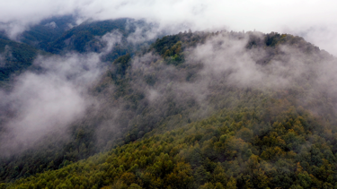 Drohnenaufnahme Carpathian Mountains