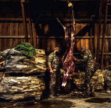 In Skandinavien ist die Jagd wichtig für die Fleisch­versorgung der Familie. Dabei bringt bereits ein Kalb leicht 70 Kilogramm verwertbares Fleisch auf die Waage. Die Zubereitung für die Küche wird, wie die Jagd, gemeinsam erledigt