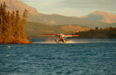 The legendary de Havilland Beaver, the Unimog of bush airplanes. It is indispensable for many hunts.